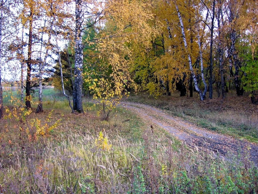 Погода в белёве сегодня. Белёвский спасо-преображенский монастырь. Муниципальное образование город белёв. Белев центр города. Погода в белево.
