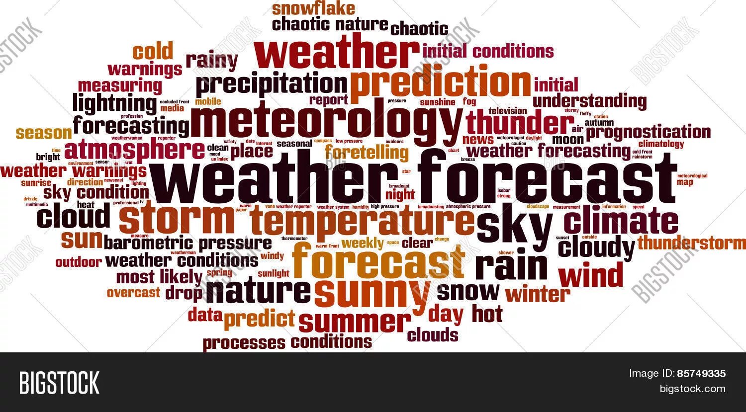 Initial conditions. Initial conditions