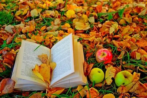 Книга осень