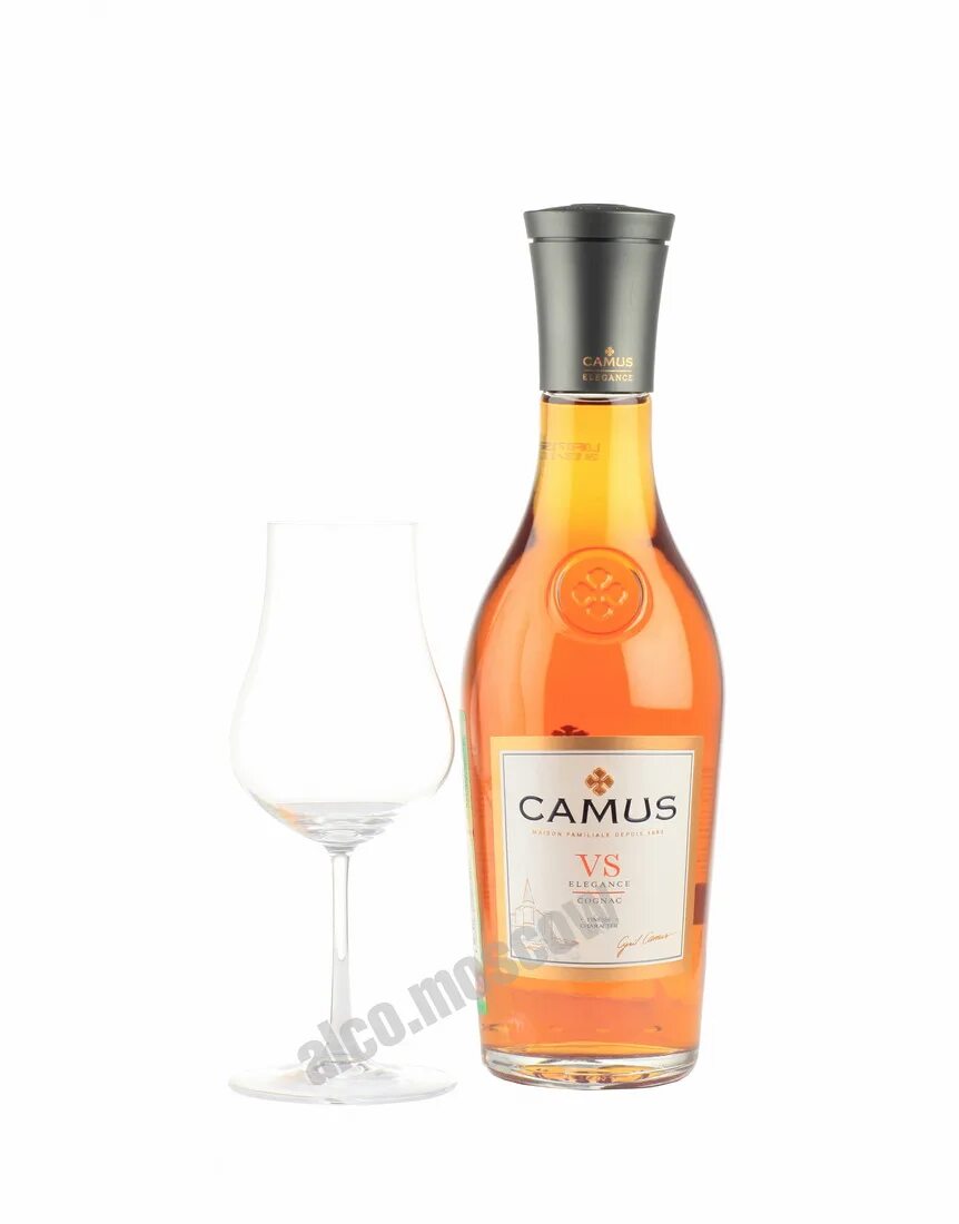 Камю вс. Камю вс