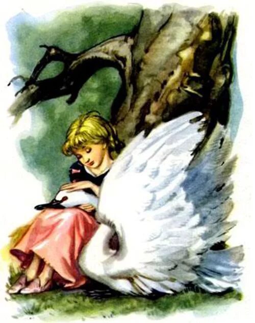 Андерсен "дикие лебеди". Андерсен дикие лебеди 1986. Андерсена дикие лебеди. Сказка г андерсена дикие лебеди. Дикие лебеди полная сказка.