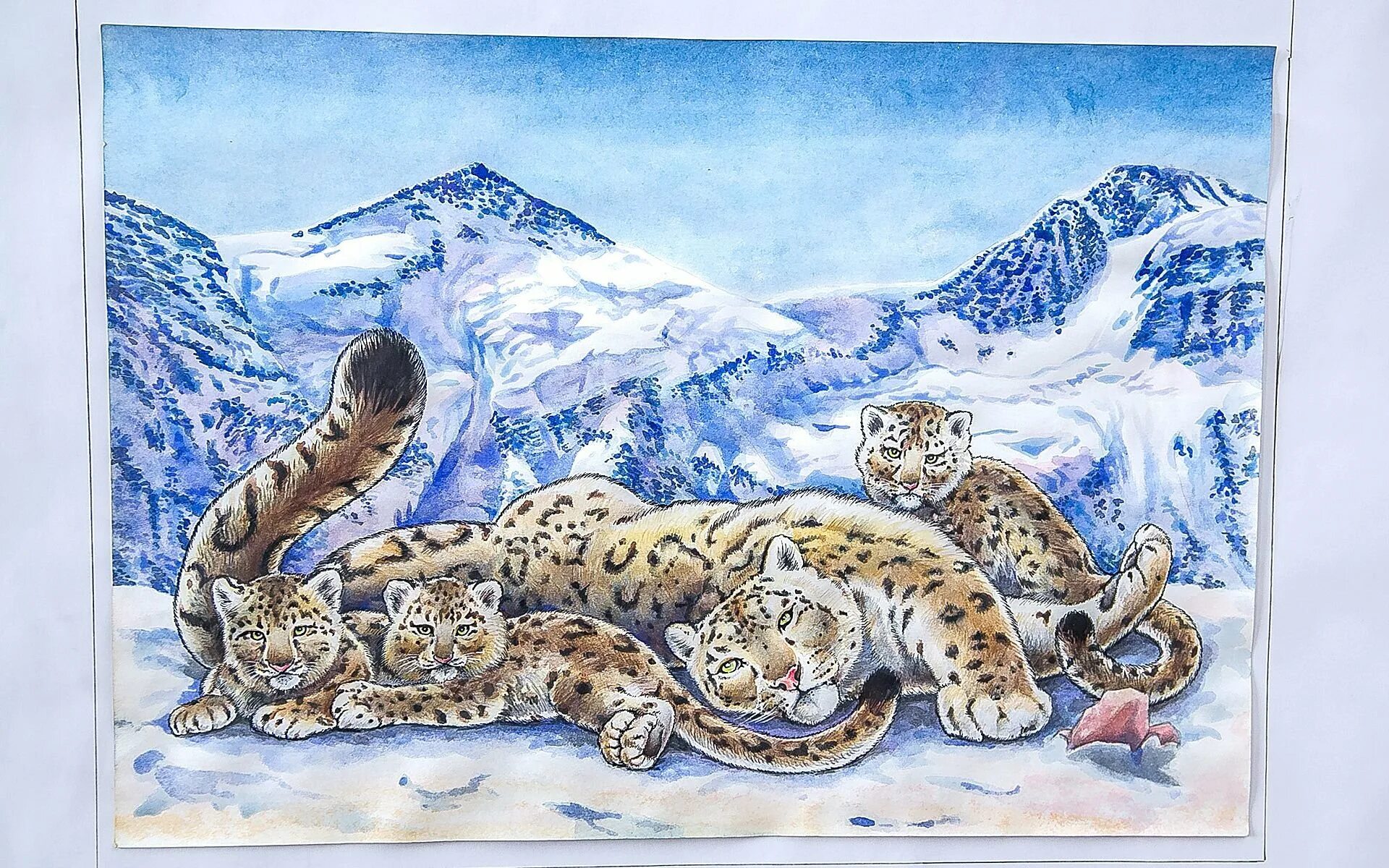 Снежный Барс картина Руссо. Снежный Барс рисунок. Снежный Барс в горах. Нарисовать снежного Барса. Плакат в поддержку снежного барса