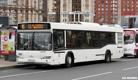 Автобус 486 спб