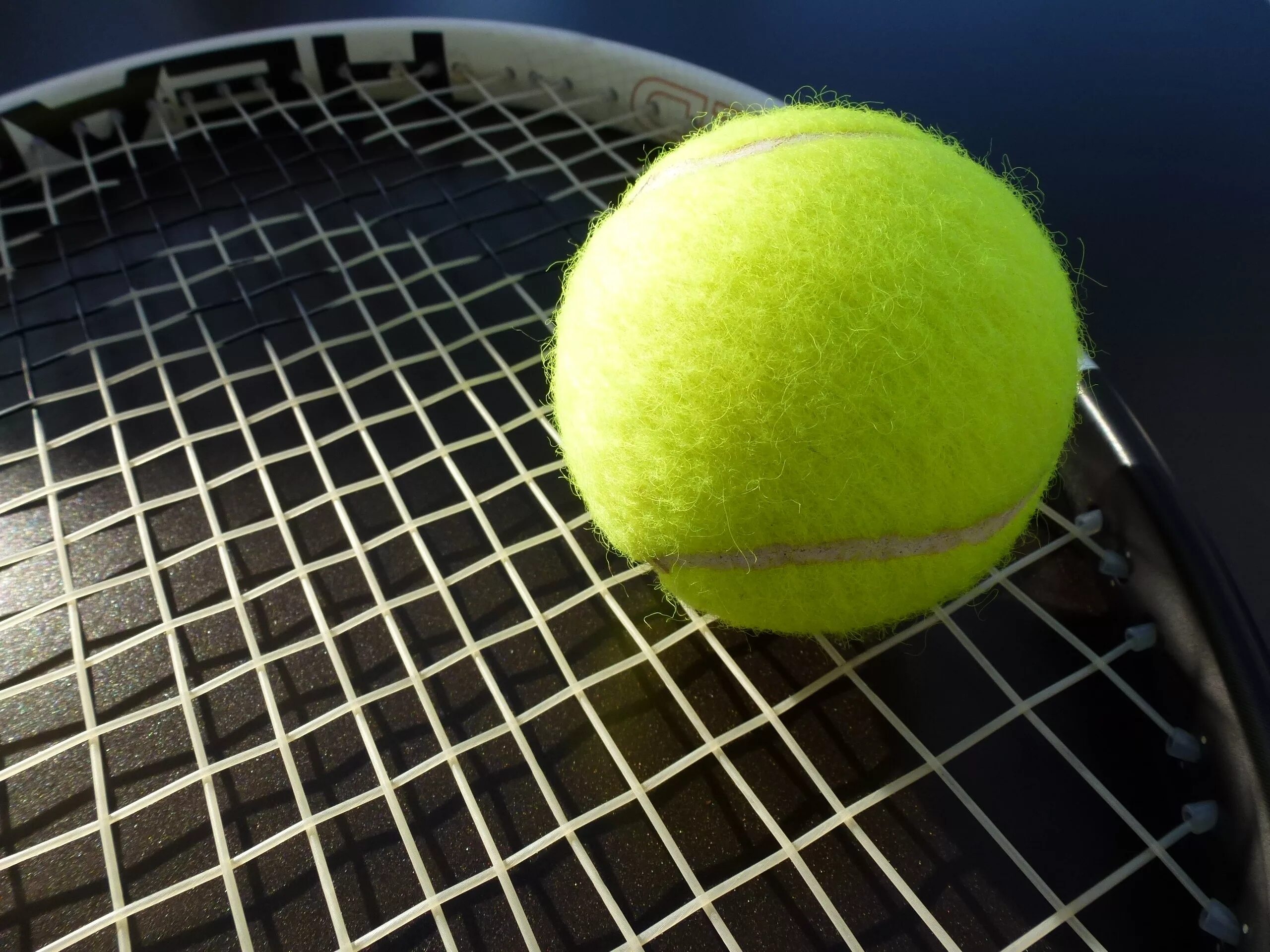 Мяч в сетке в теннисе. Теннисный мяч tennis. теннисный мяч уимблдон. теннис корт ракетка мяч. теннисный мяч на корте.