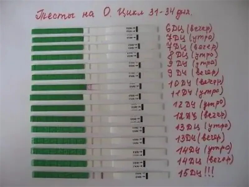 После полового акта через сколько делать тест. Тест после зачатия. тесты после оплодотворения. тест на беременность после зачатия. тесты на беременность по дням.