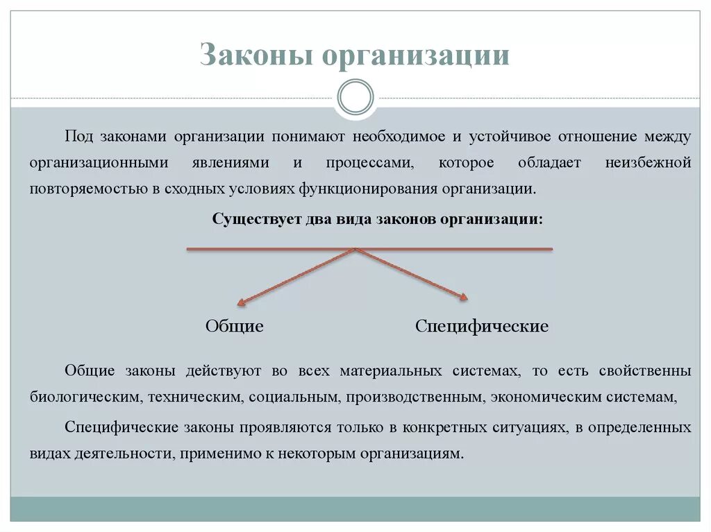 Законы организации. Основные законы организации. Организационные законы. Закон теории организации это.