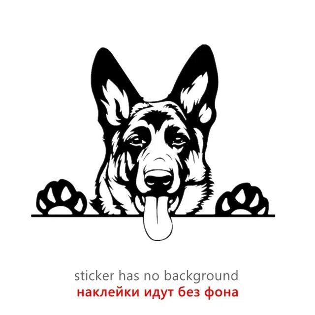Визитка зоотакси. Зоотакси машина. Зоотакси дизайн логотипа. Зоотакси в москве. Картинки зоотакси прикольные.