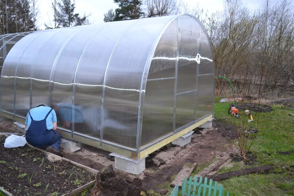 Теплица ленинградочка. Ленинградская теплица. Теплица ленинградочка. Ленинградские теплицы. Ленинградская теплица.