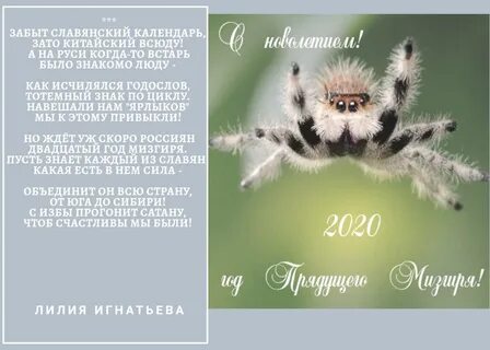 Календарь мизгирь