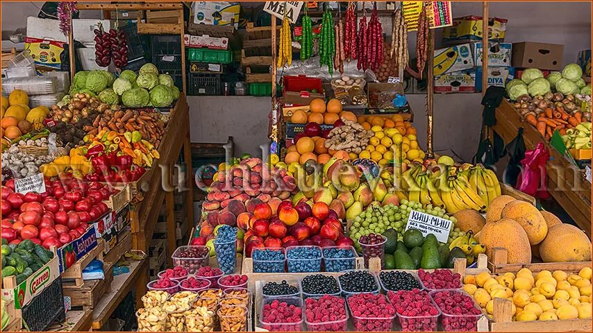 Кучугуры центральный рынок. Рынок в кучугурах краснодарский край. Поселок кучугуры улица красная поселок кучугуры 73 улица. Лагерь лаукараз кучугуры. Кучугуры ул красная.