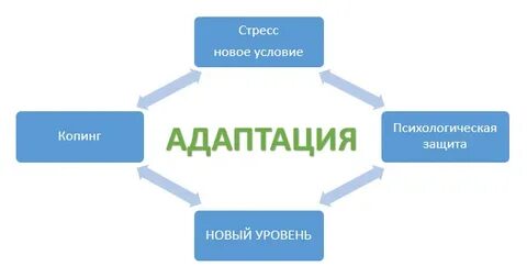 Адаптация в психологии