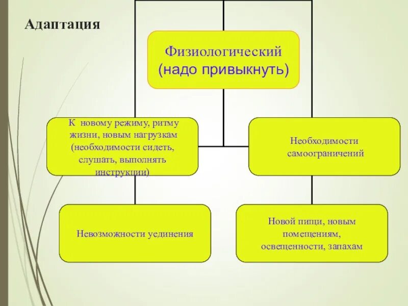 Физиологическая адаптация ребенка. Адаптация ребенка к жизни. Физиологическая адаптация в ДОУ программа. Адаптация документа это.