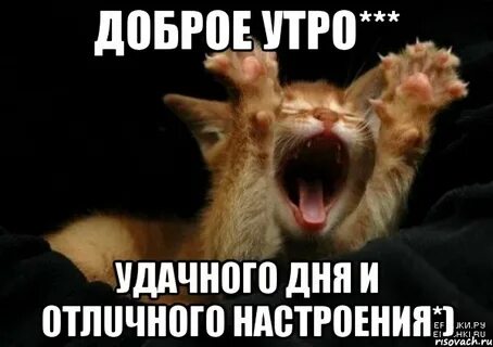 Доброе утро после выборов