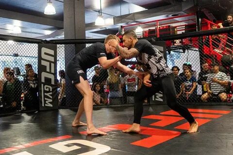 Titan fighting