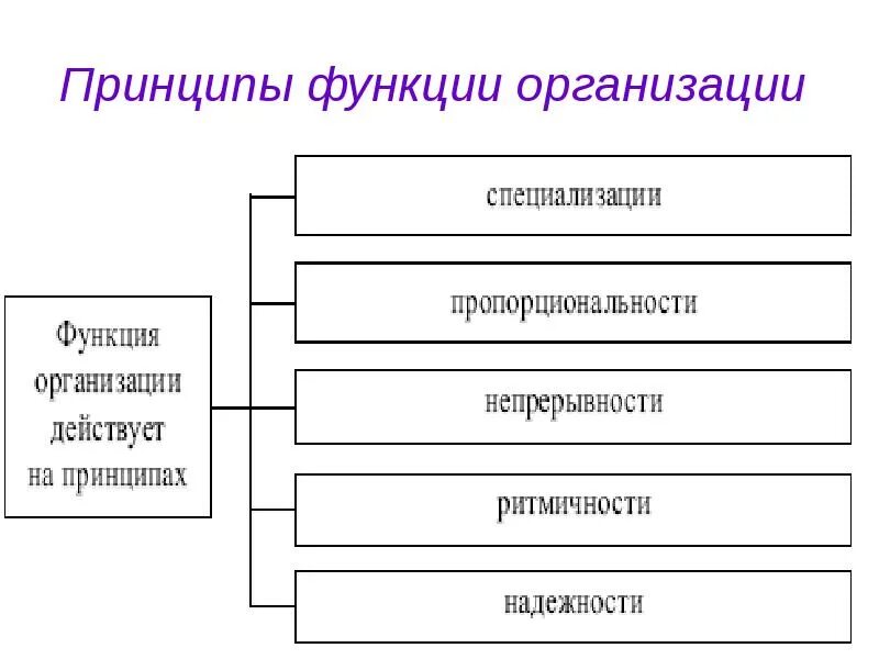 Реализация функций и принципов. Принципы функции организации в менеджменте. Принципы осуществления функции организации. Принципы организационной функции. Функции управления организацией.