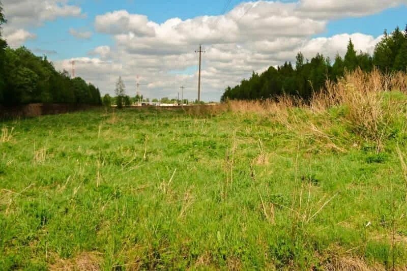 Земельный участок в поселке новом. Земельный участок в поселке новом. Земельный участок в поселке новом. Ближний береговой. Дер стояново.