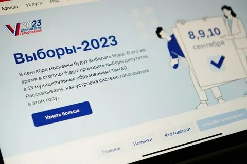 Розыгрыши на выборах 2024 кто голосует
