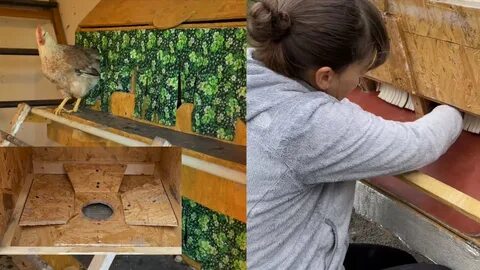 Яйцесборник для несушек своими руками