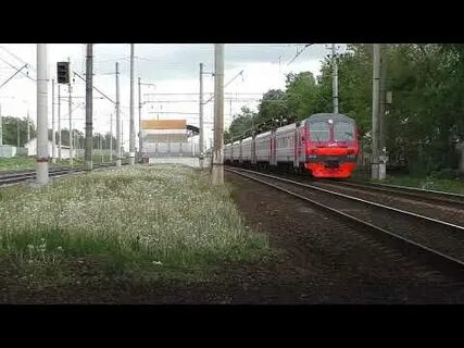 Люберцы голутвин