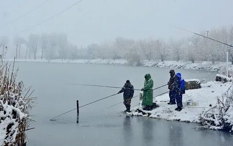 Погода благов
