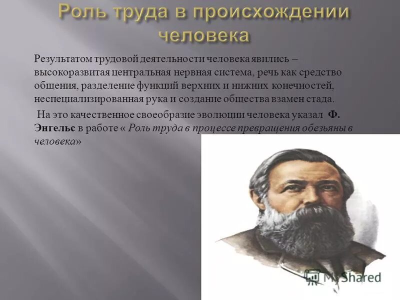 происхождение человека и половой подбор. роль трудовой деятельности в антропогенезе. роль труда в происхождения человека в человека. роль труда в происхождении человека. роль труда в процессе превращения обезьяны в человека энгельс.