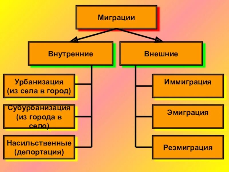 Внутренние и внешние миграции населения россии. Миграция населения. Внешняя миграция. Урбанизация и миграция населения.. Миграция внутренняя и внешняя урбанизация.