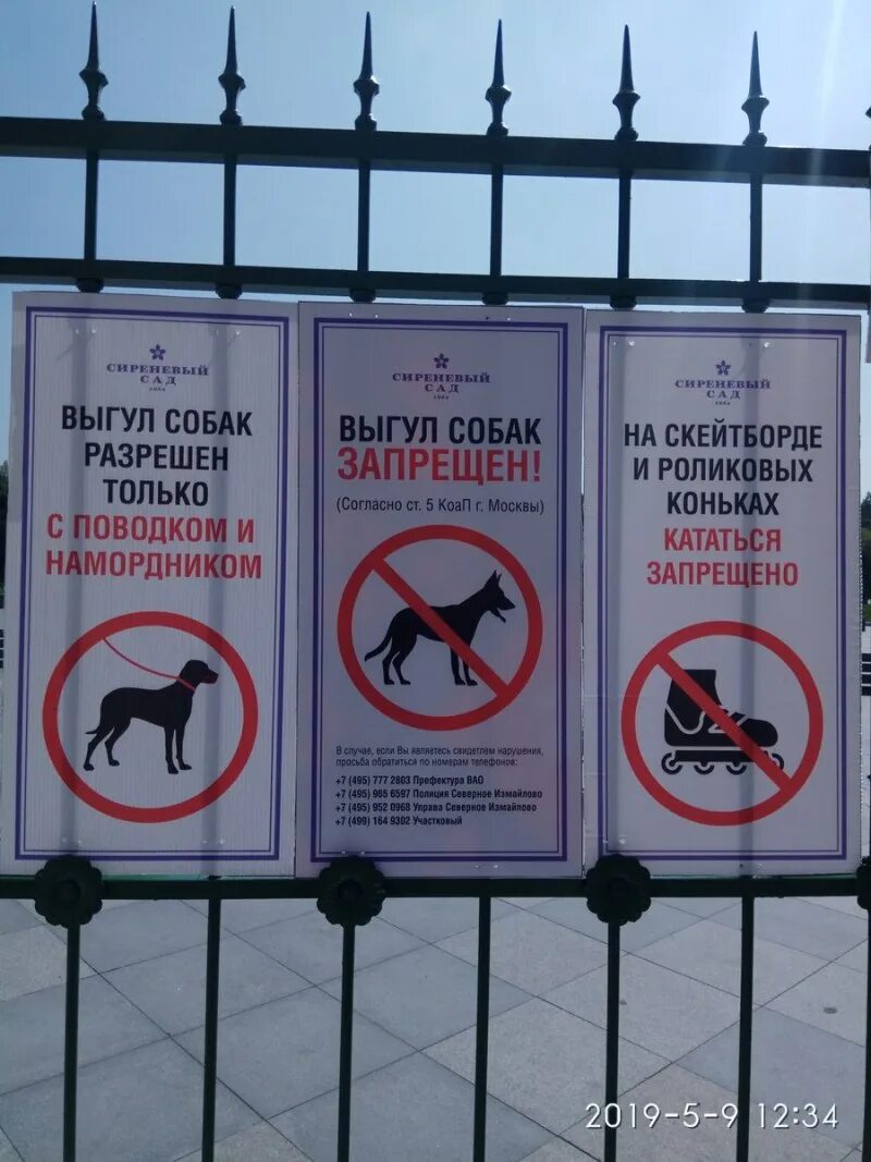 Выгул собак в общественном месте. Табличка выгул собак без намордника и поводка запрещен. знак выгул собак разрешен. выгул собак запрещен табличка со статьей. выгул собак на территории школы запрещен.