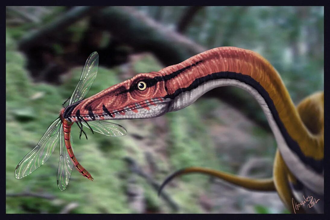 Coelophysis динозавр. Целофизисы динозавры. Целофизы. Целофизис каннибализм. Живые существа игра