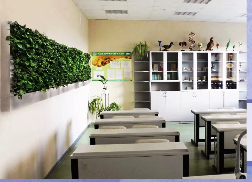 Самый зеленый класс. Озеленение школьных помещений. Озеленение кабинета в школе. Озеленение помещения школы. Озеленение школьного класса.