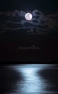 Ночь серебряной луны