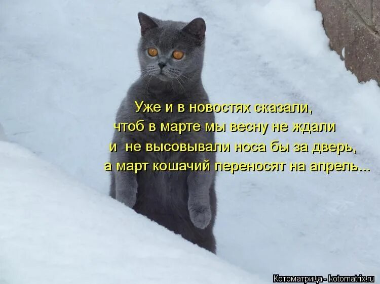 Он приходил когда его не ждали. Жду весну. Приколы про зиму и весну. Цитаты про март.