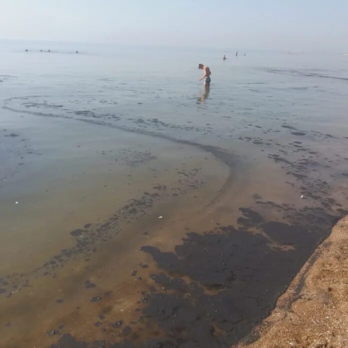 Азовское море загрязнено. Азовское море грязное. Азовское море загрязнено. Загрязнение азовского моря. Экологические проблемы азовского моря.