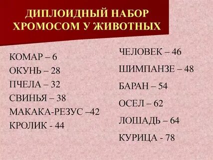 Сколько хромосом в листе огурца