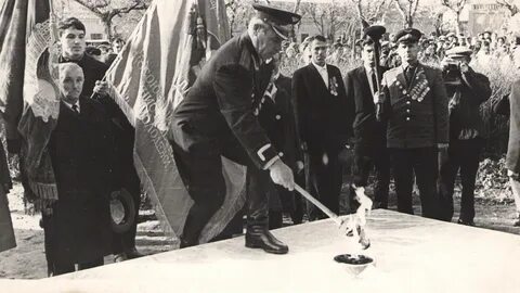 День 1955