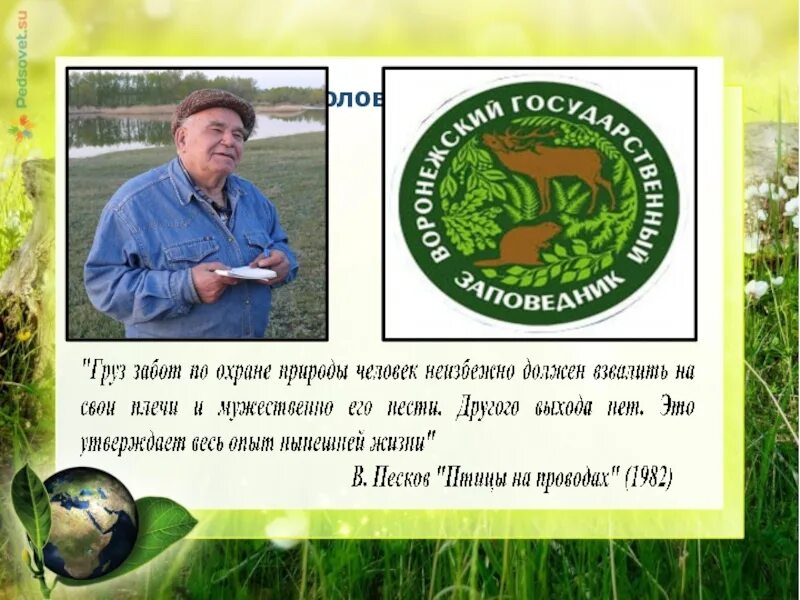 В м песков. Камень памяти пескова. Виды вступления и заключения. Размышления в м пескова наполнены тревогой. Размышления в м пескова наполнены тревогой.