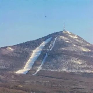 Арсгора