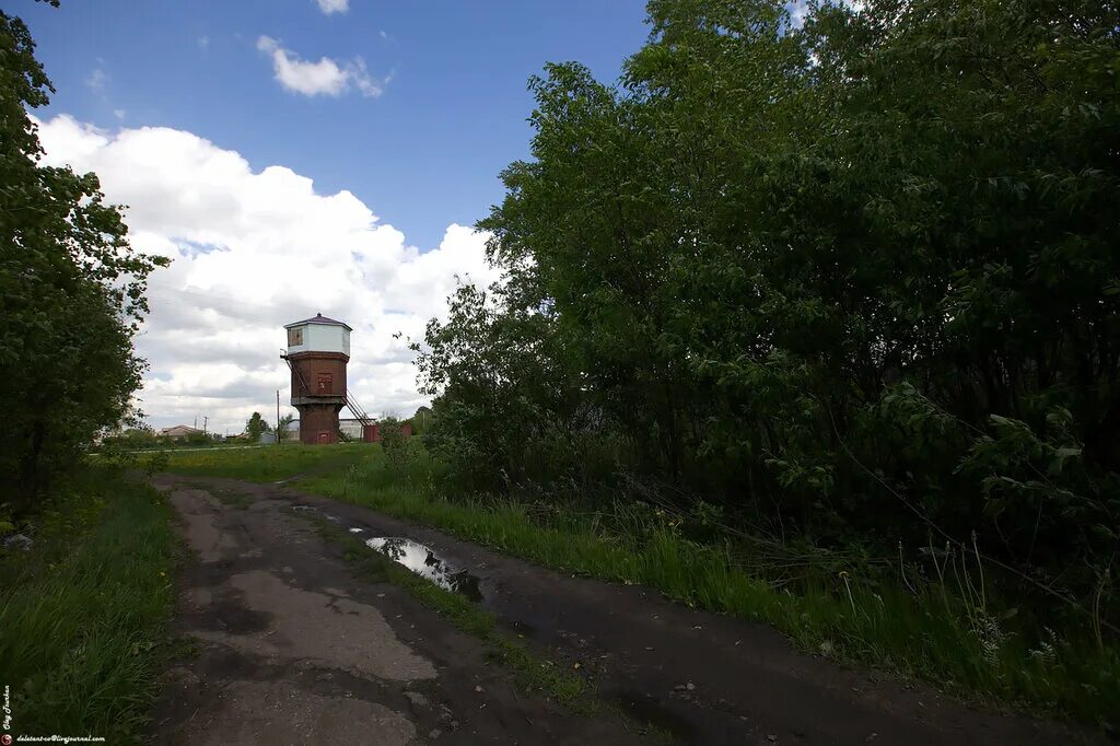 типичная тума