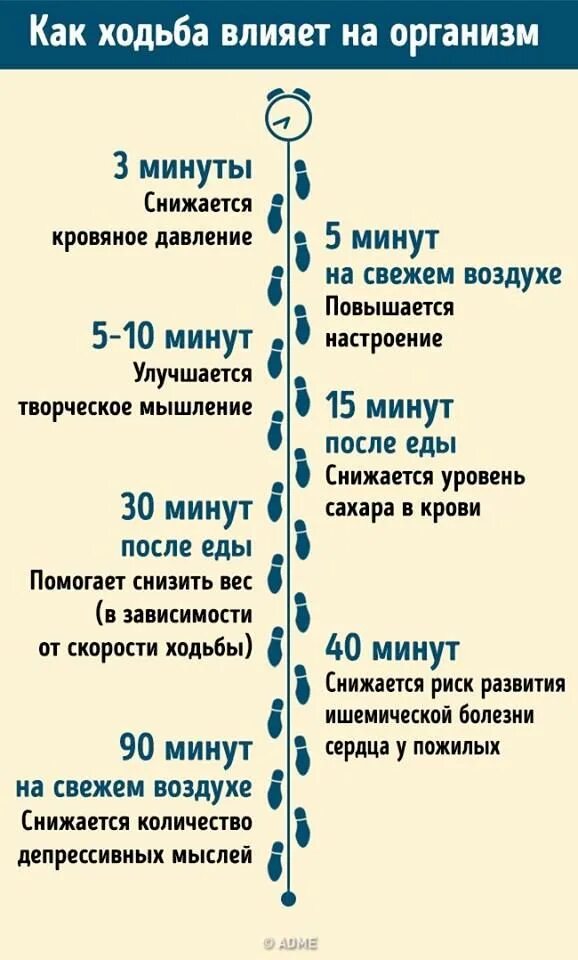 Польза длительных прогулок