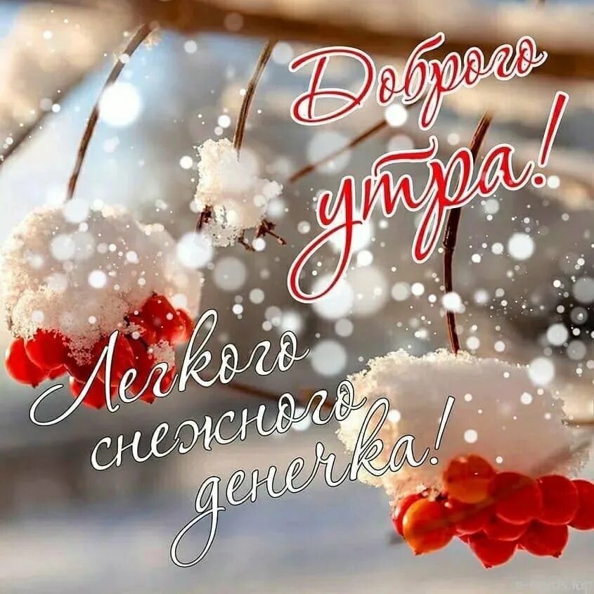 Отличного понедельника зима. Зимние поздравления с добрым утром. Добрый день картинки зимние. С добрым зимним. Настрою январь.