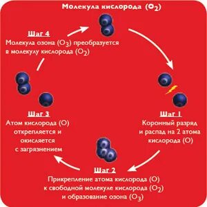 Железо связывает молекулярный кислород