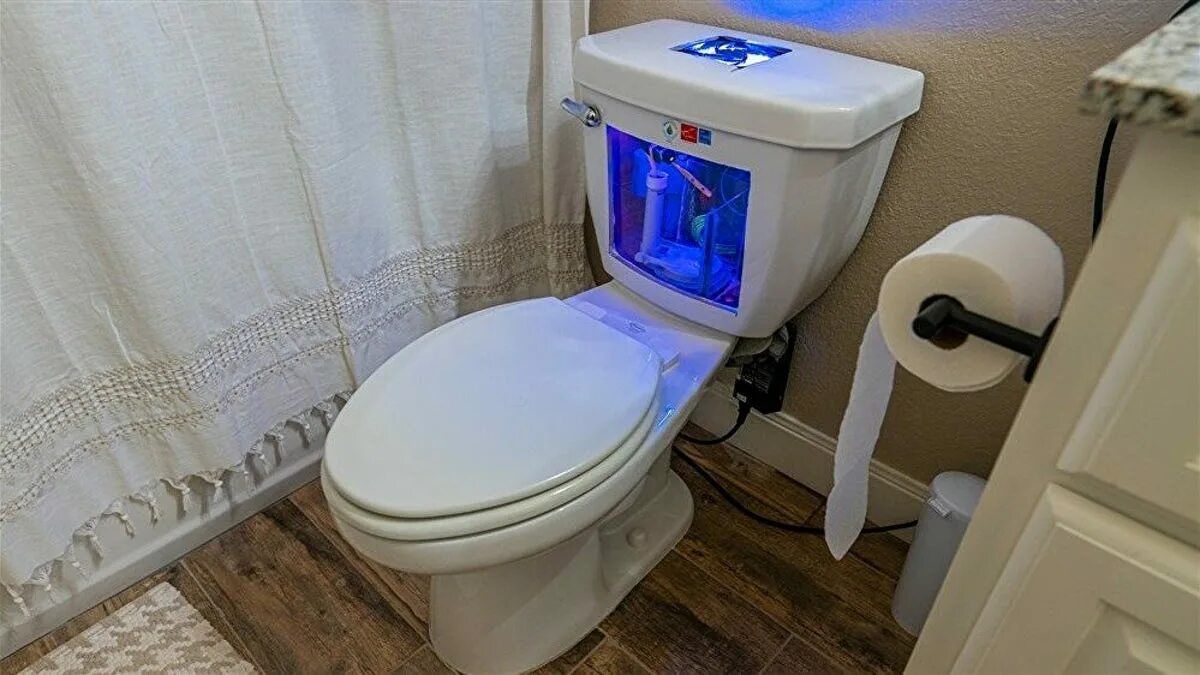 Working toilet. Working toilet. Туалет на пьедестале. Туалетная бумага в туалете. Туалетные унитазы засорились.