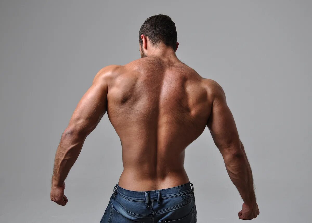 Атлетическая спина. Мужская спина модель. Мужская спина мышцы. Прокаченная спина мужская. Back model