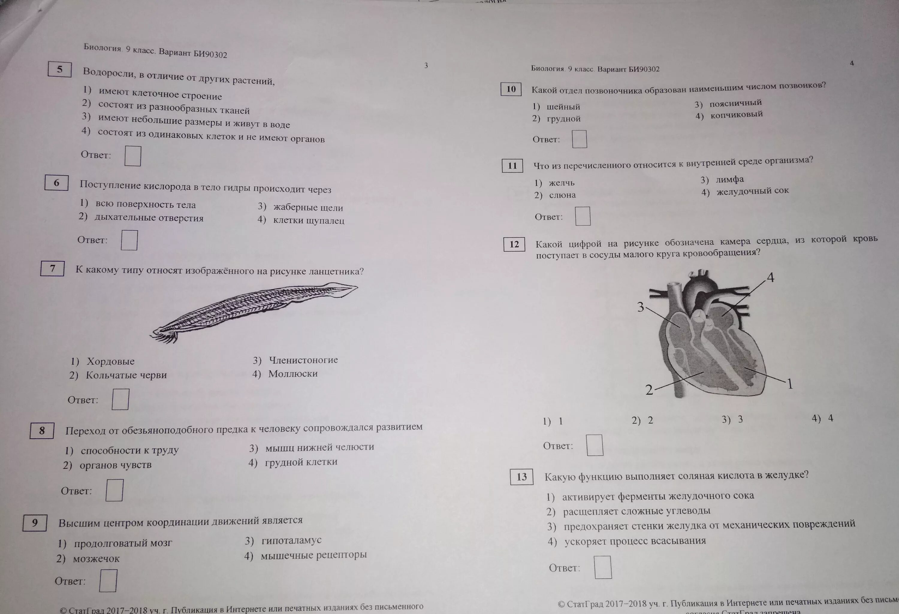 Биология 11 класс би2310401. Вариант по биологии. Задание по биологии 11 класс. Экзамен по биологии 9 класс. Ответы ЕГЭ по биологии.