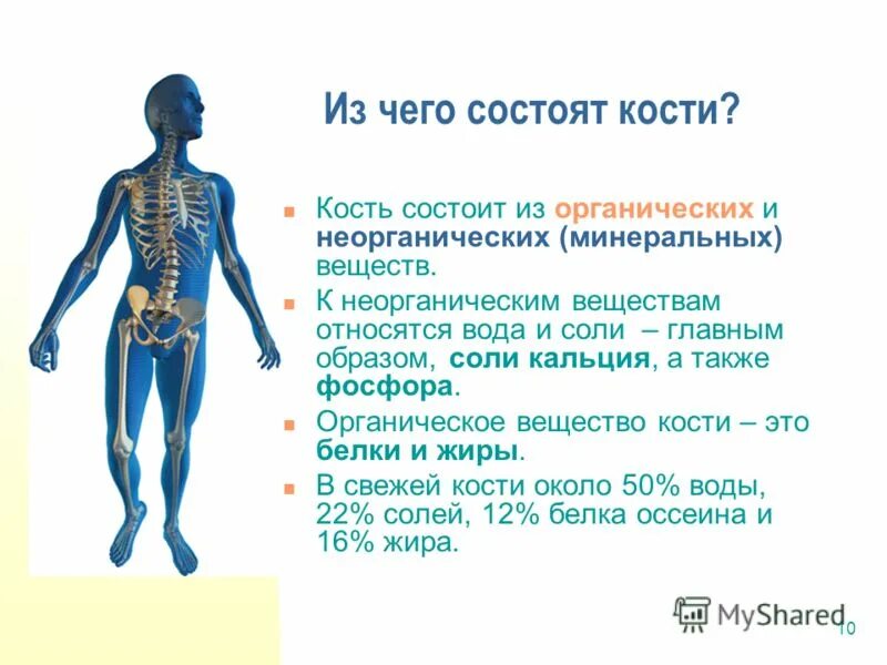что относится к пассивной части опорно двигательного аппарата. из чего состоит опорно-двигательный аппарат человека. какие ткани входят в состав скелета. кости скелета с названиями костей. костная ткань презентация.
