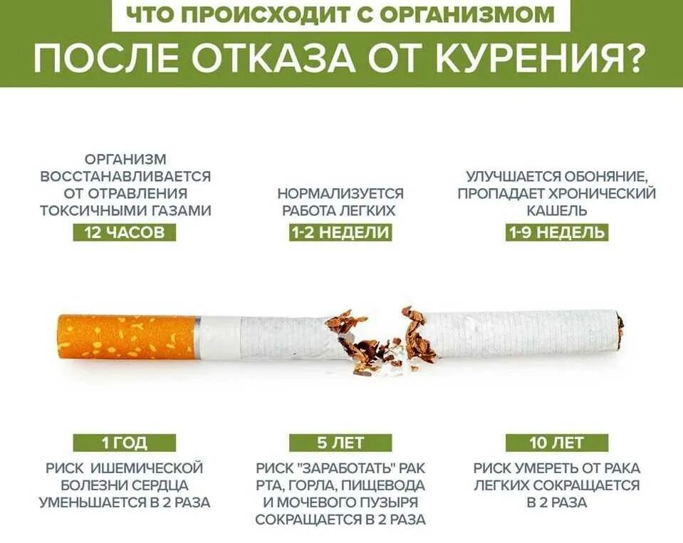 Сколько нужно времени чтобы никотин