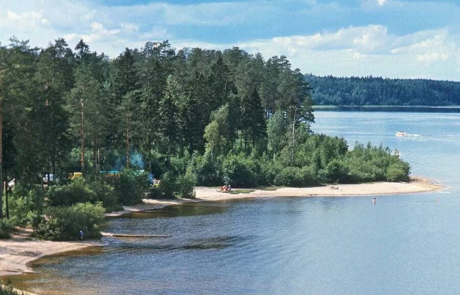 Озеро красавица ленинградская. Озеро красавица Выборгский район. Зеленогорск Ленинградской области озеро красавица. Красавица (озеро) озёра Выборгского района (Ленинградская область). Озеро красавица Зеленогорск пляж.