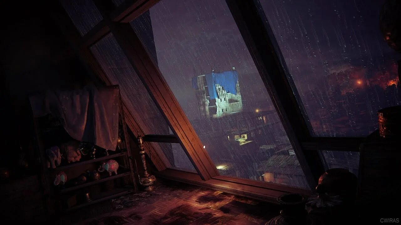 The room s window