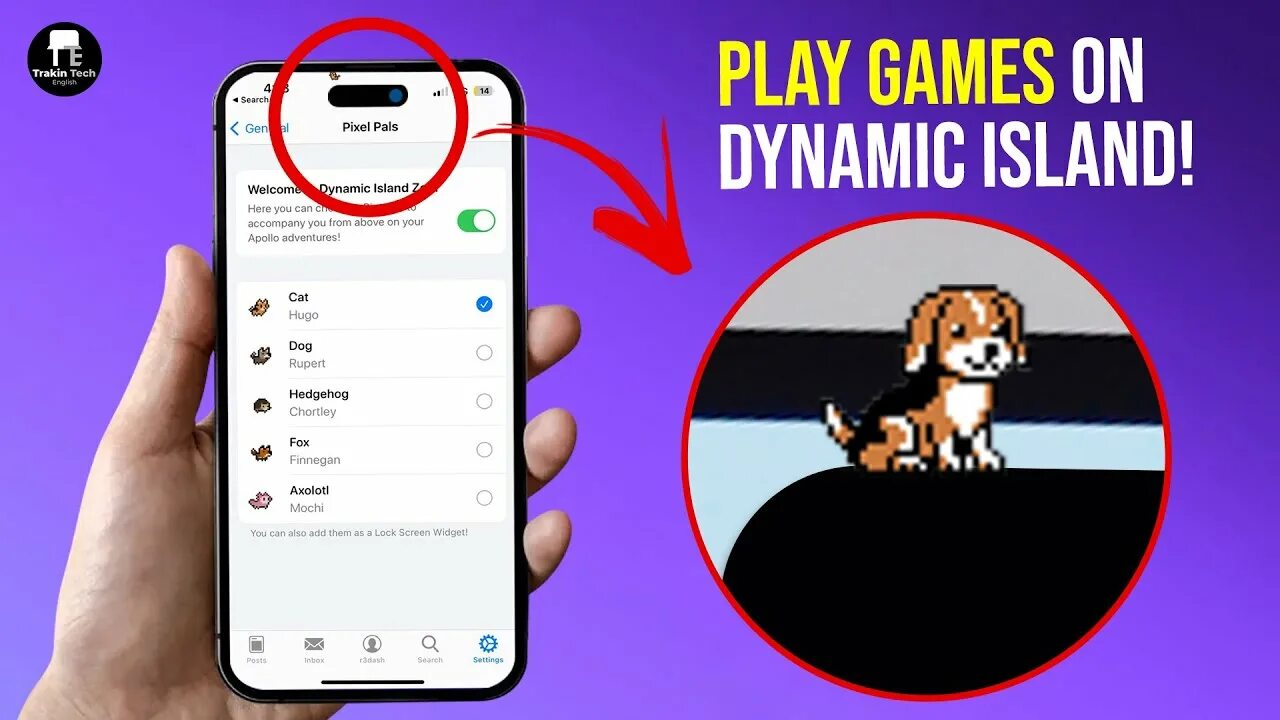 Как сделать динамик айленд. Динамик айленд. динамик айленд iphone 14. айфон 14 про dynamic island. фишки динамик айленд.
