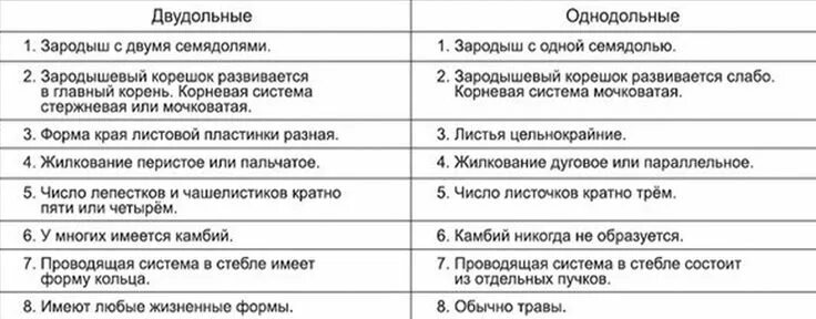 Различие классов однодольные и двудольные. Отличия однодольных и двудольных растений таблица. Различия однодольных и двудольных растений таблица. Разница однодольных и двудольных растений таблица. Основные различия однодольных и двудольных растений таблица.