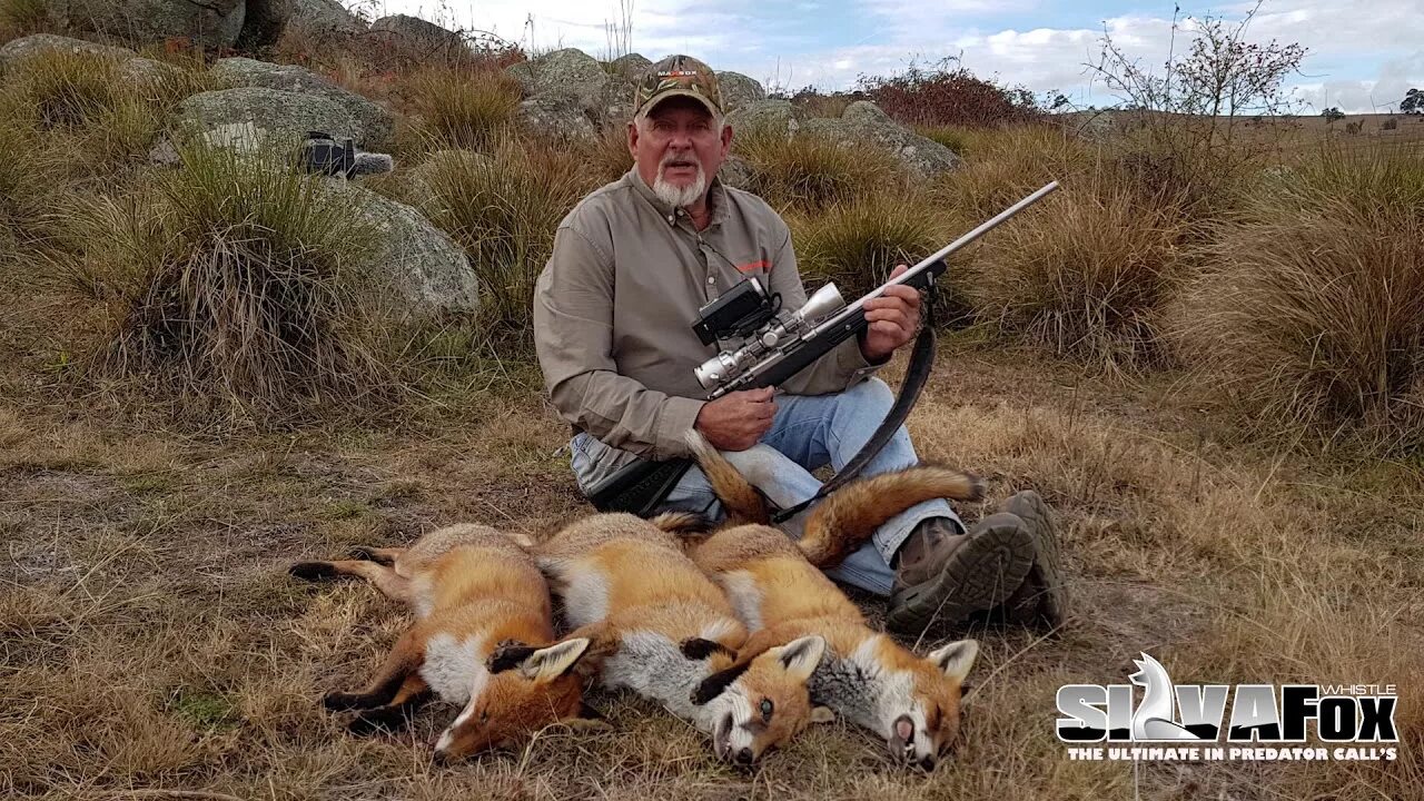 Фокс Хантинг. Fox hunting
